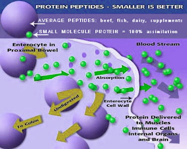 small_molecule_protein_375