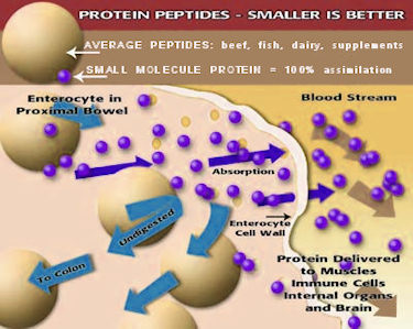 small_molecule_protein_375