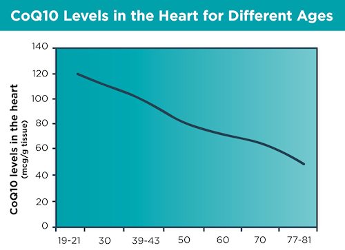 coq10 amount in heart tissue over time