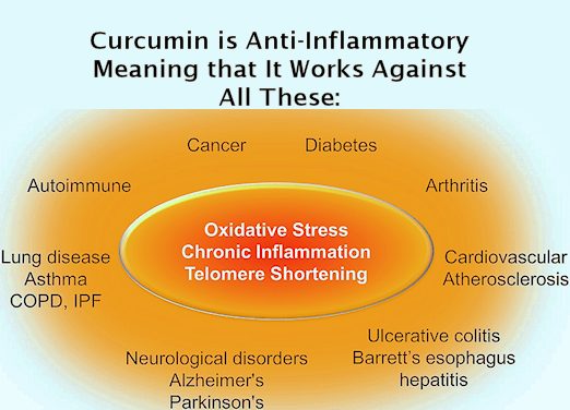 curcumin works against inflammation caused diseases