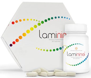 laminine