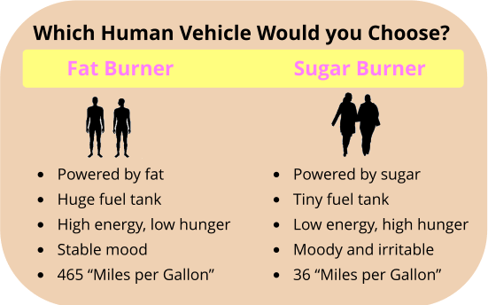 sugar burner versus fat burner
