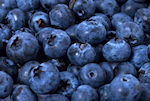 Bilberry