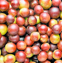 camu camu berries