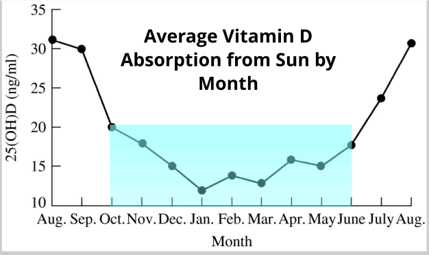 Vitamin D absorption from sun by month