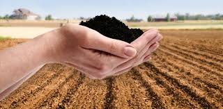 humic fulvic minerals