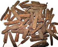 Long Pepper