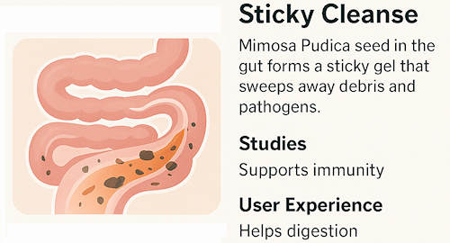 Stylized intestine with gentle sticky gel sweeping debris away