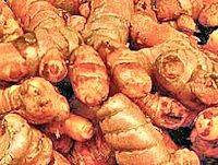 Turmeric Root