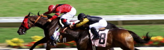 horse_racing_web