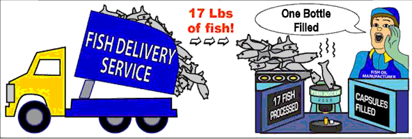 17 lbs of dead fish to make one fish oil bottle