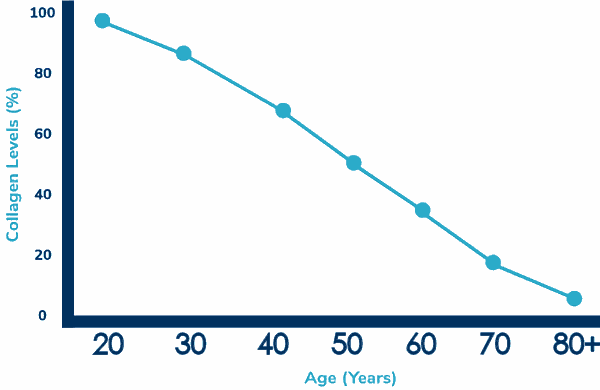 collagen loss with age