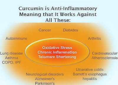 curcumin works against inflammation caused diseases