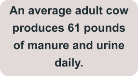 An average adult cow produces 61 pounds of manure and urine daily.